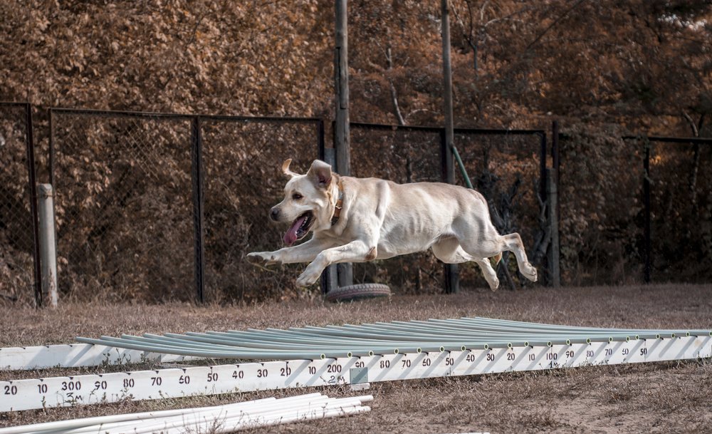 Photograph by Виола Поликарпова