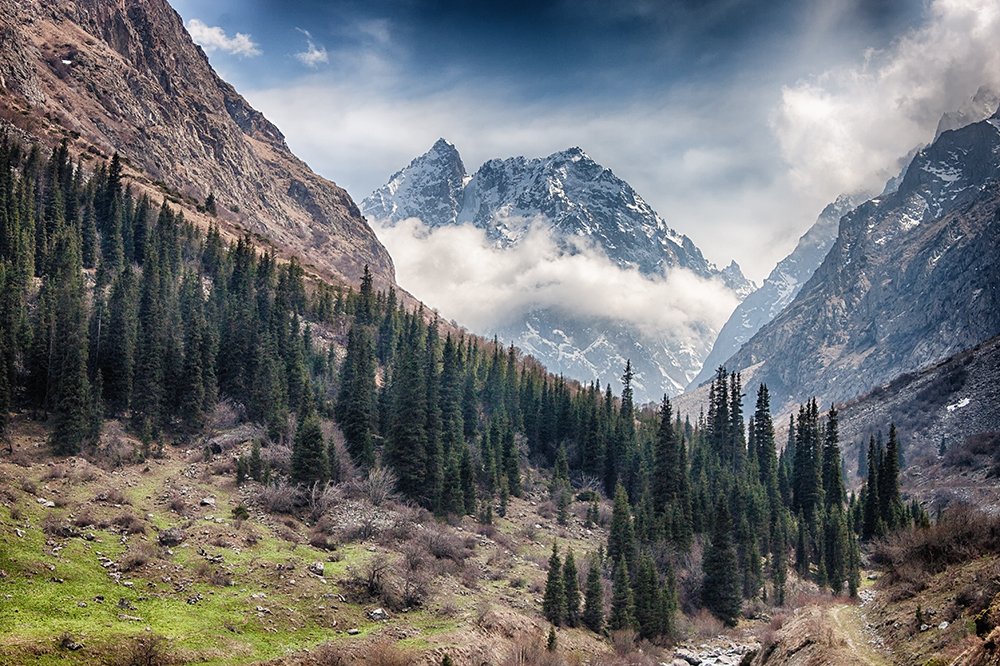 Музыка весны