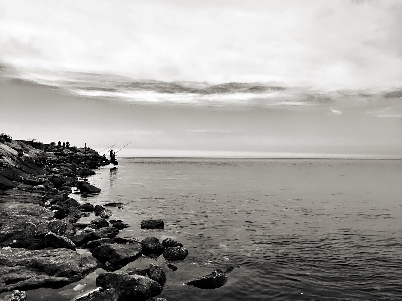 Photo #4296987