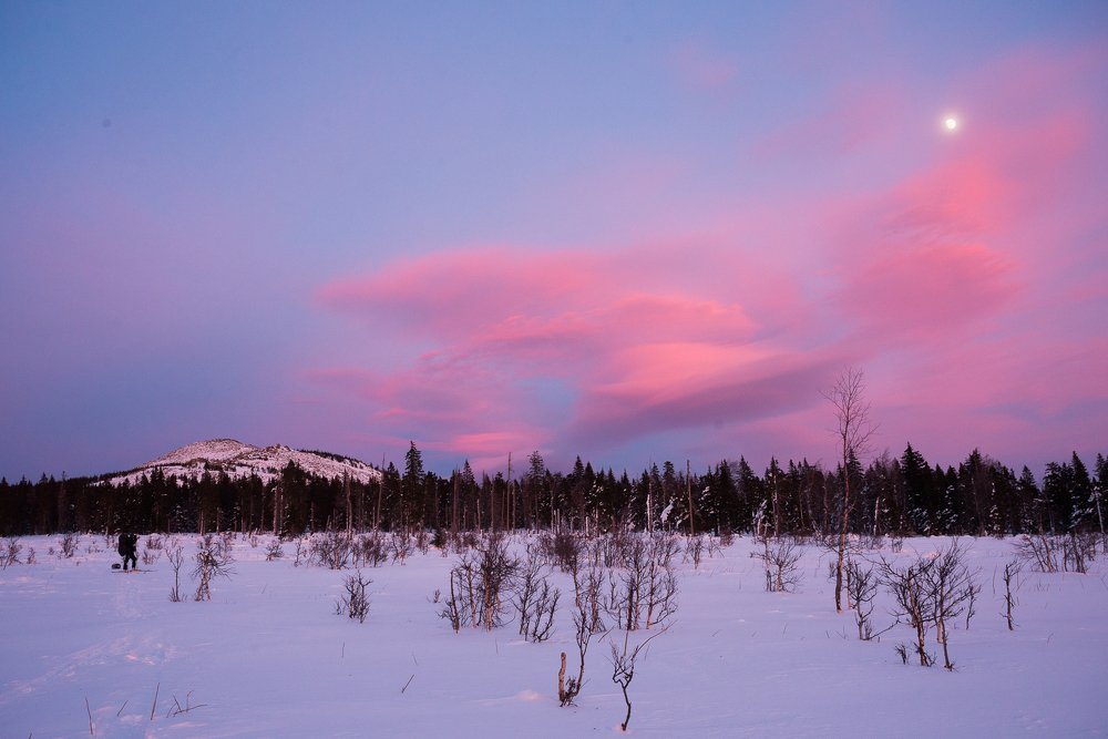 Природа - лучший художник