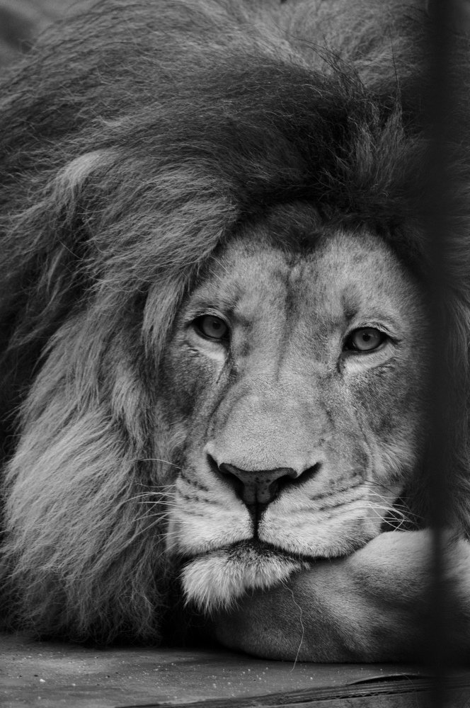 Photograph by Дарья Дырыгина