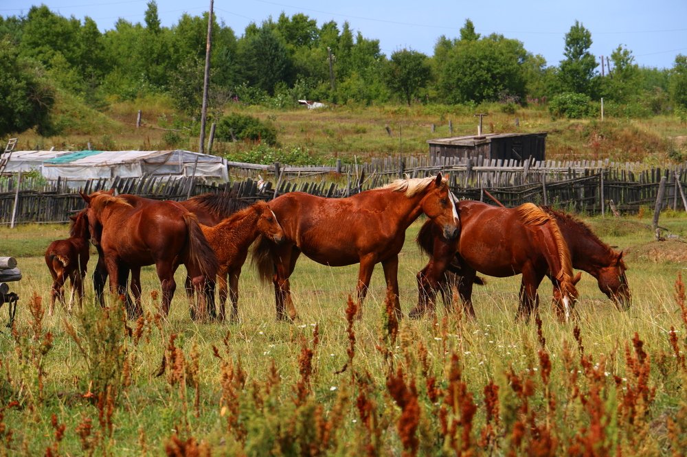 Photograph by Дарья Дырыгина