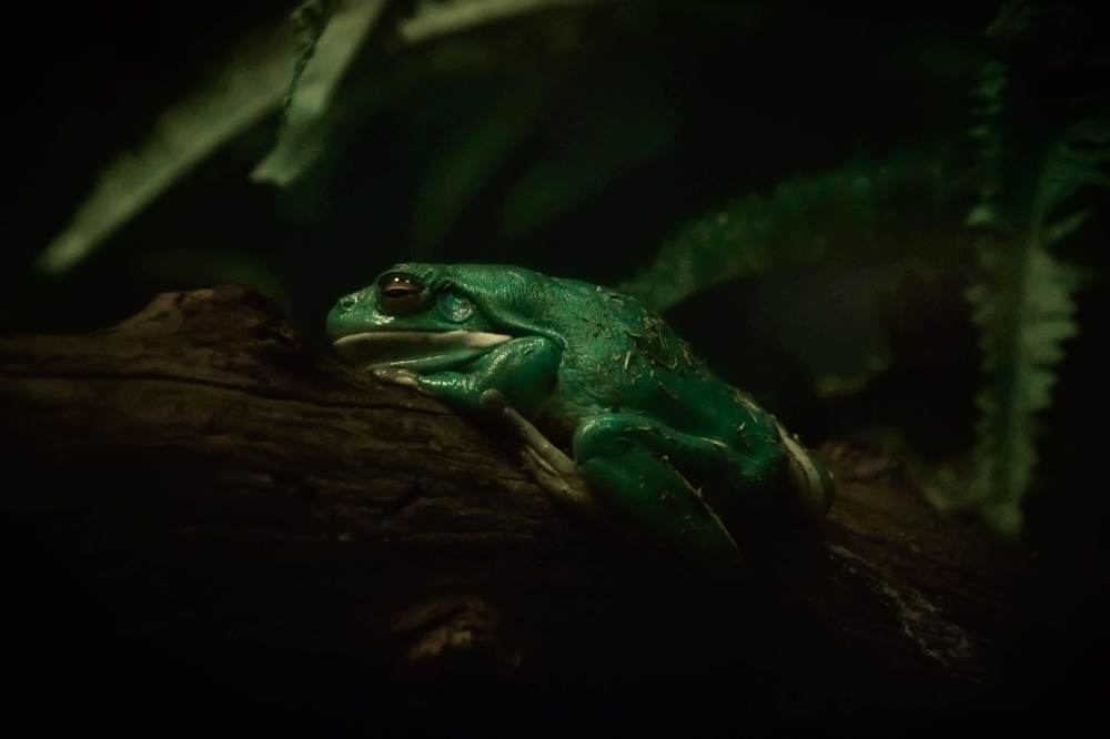 Photograph by Данил Стафеев
