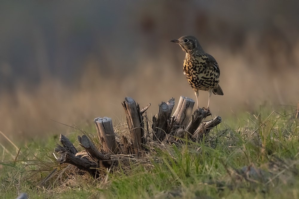 Photograph by Eddie Adamov