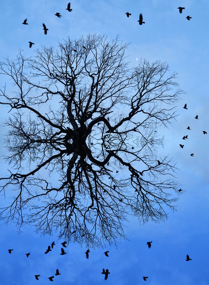 Photograph by Алексей Нагорнов