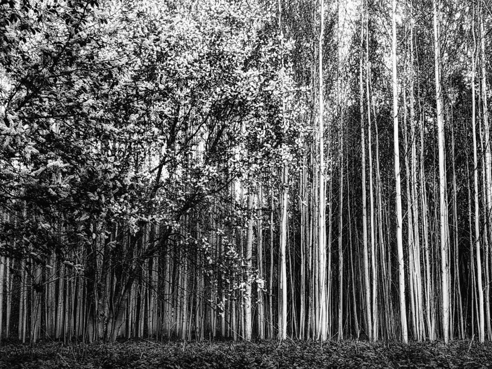 Photograph by Антон Е