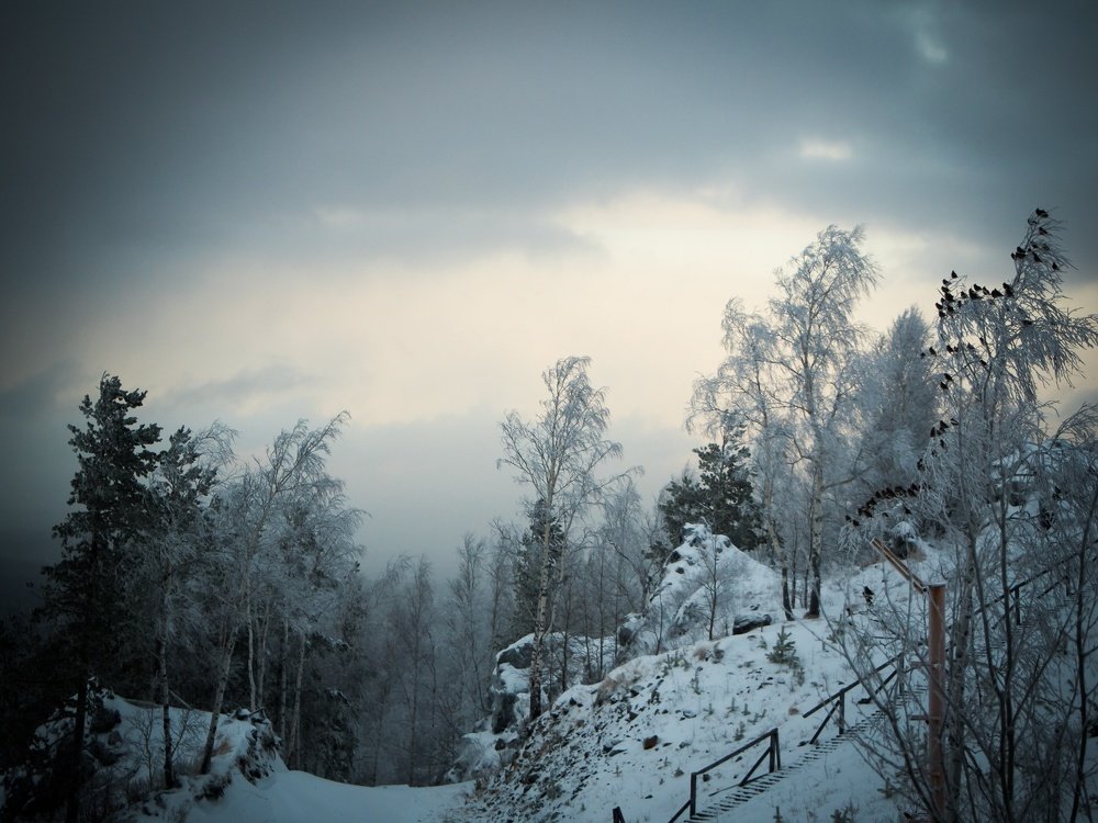 Photograph by Алена Алалыкина