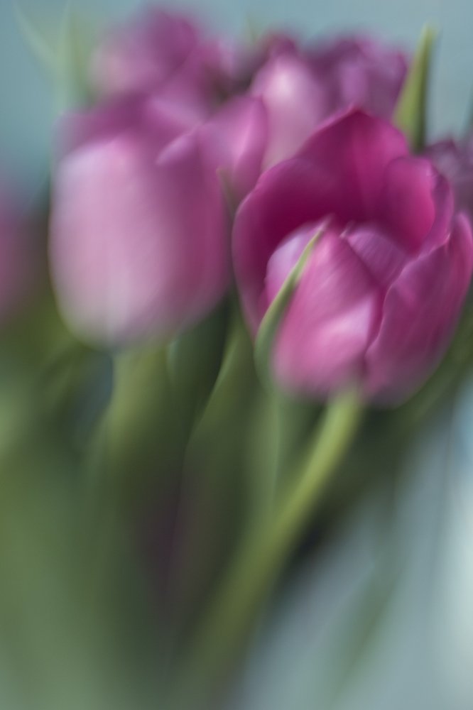 Photograph by Галина Полищук