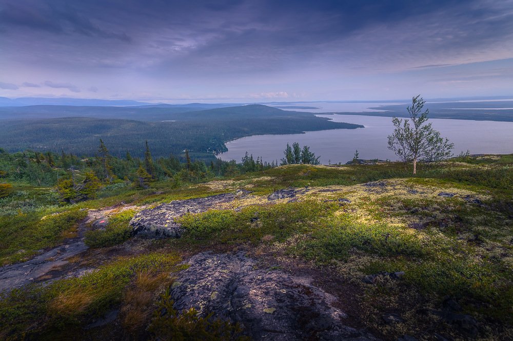 Фотография автора Светлана Морозова