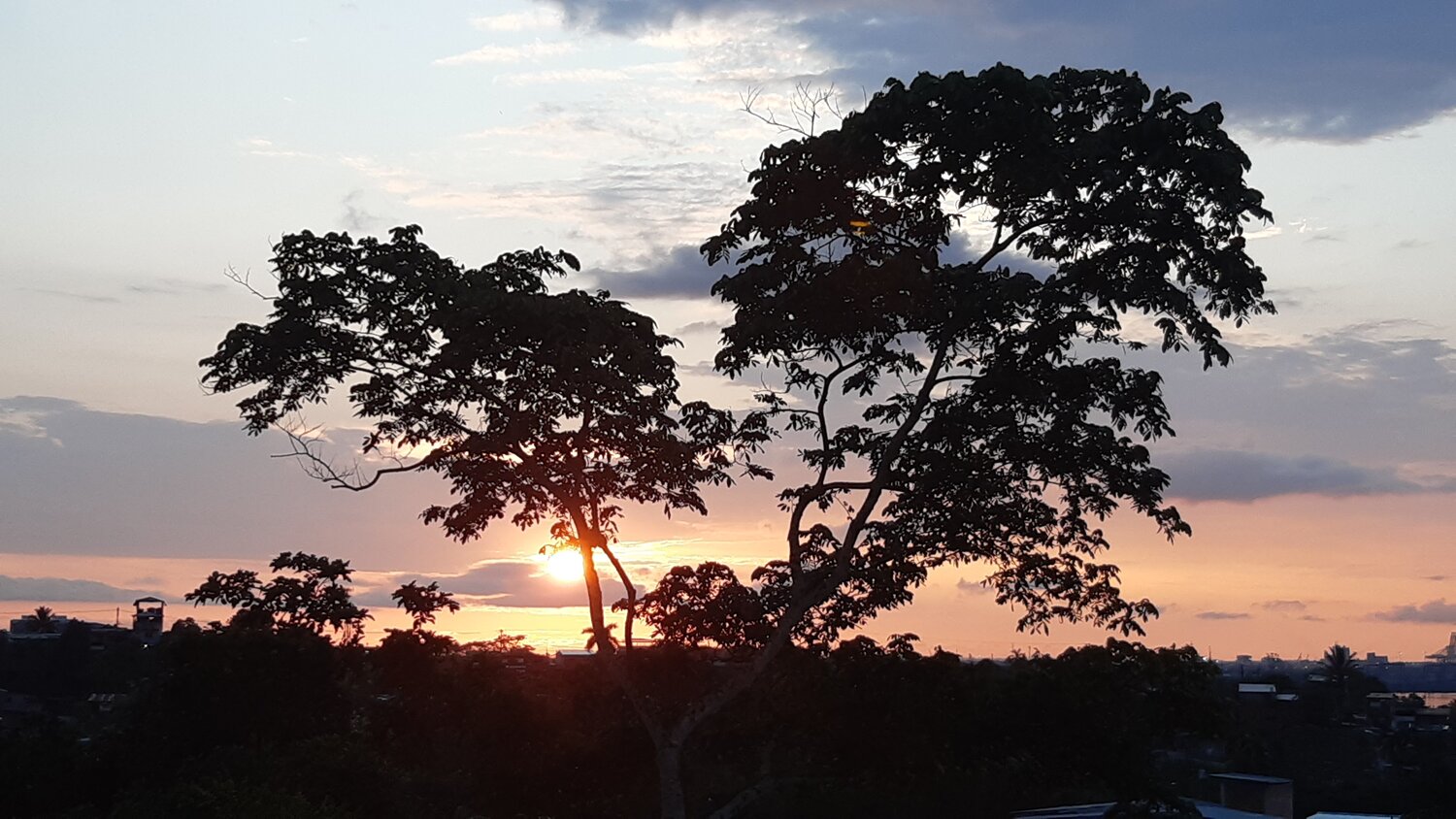 Photo #4297778