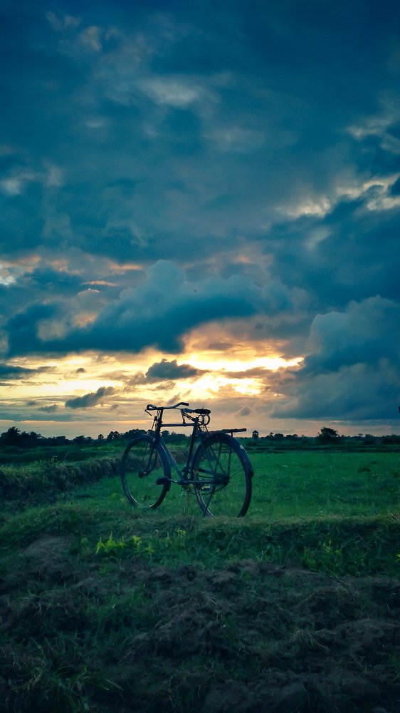 Cyclical nature