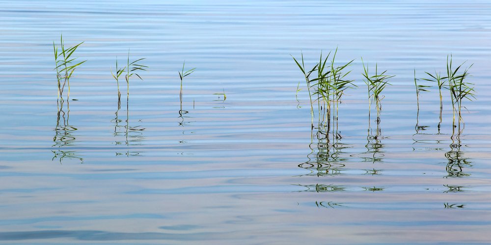 Photograph by Галина Полищук