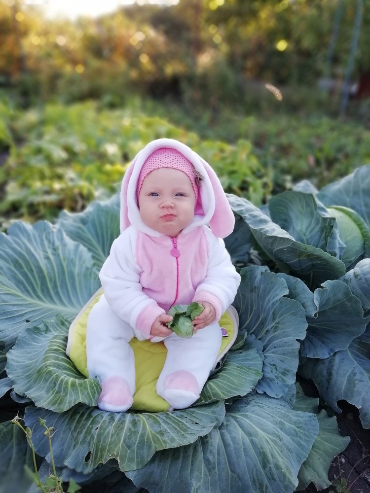 Photograph by Леонид Липовецкий