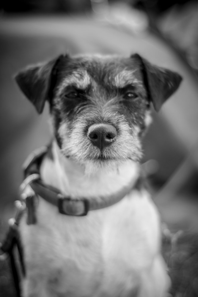 Photograph by Виола Поликарпова