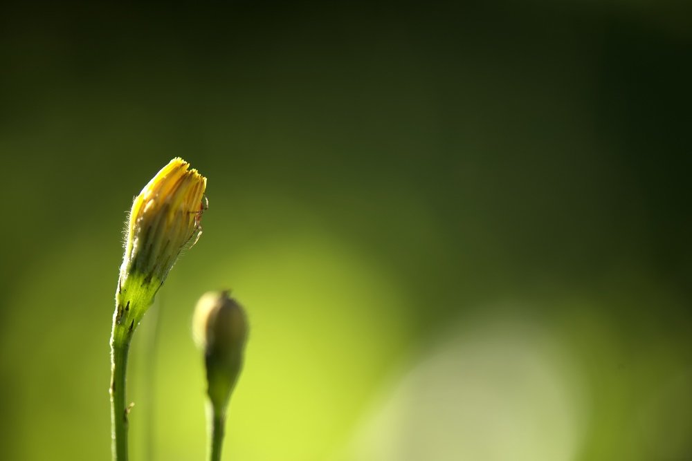 Photograph by Виктория