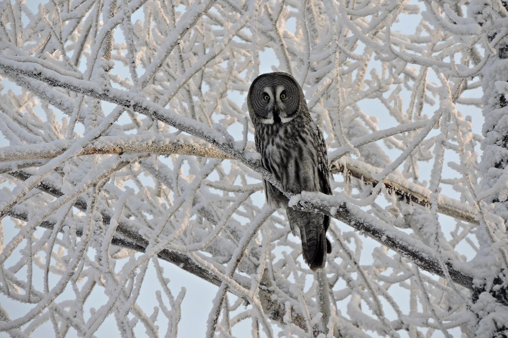 Photograph by Никита Яблоков