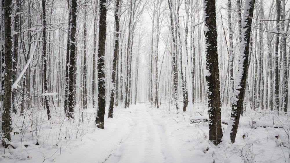 Photograph by Антон Литвин