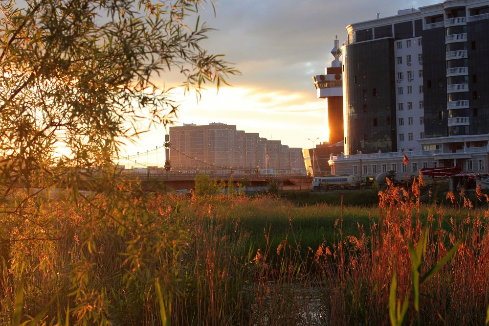 Янтарный закат