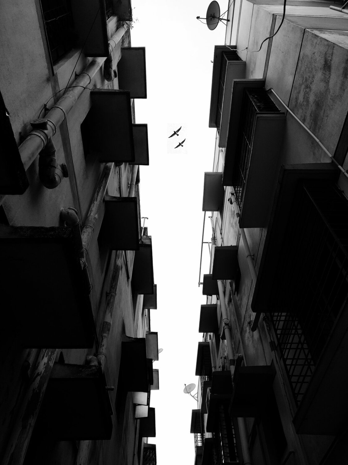 Photo #4298054