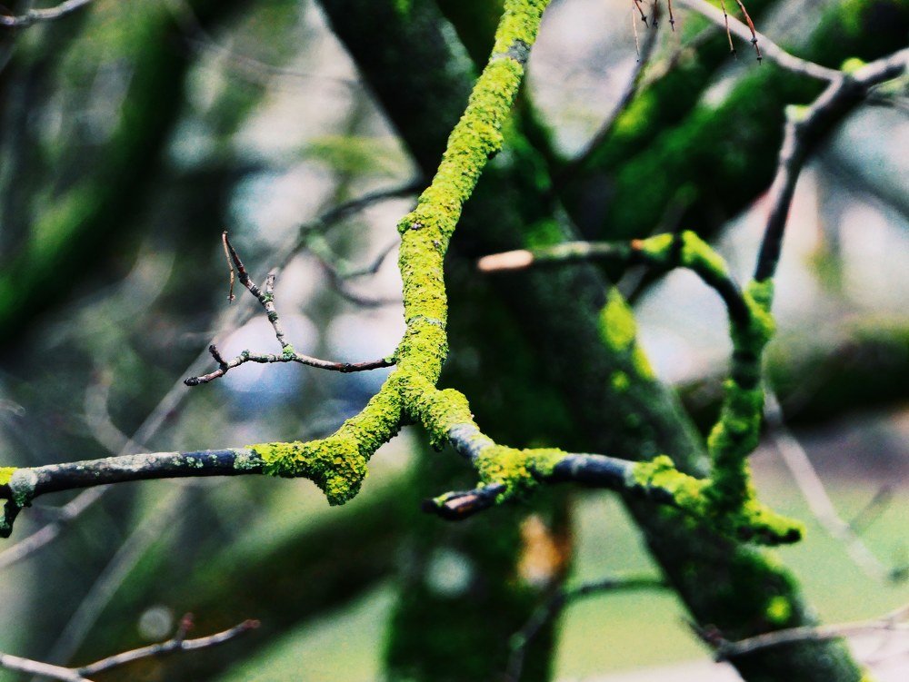 Прогулка по Риге ...