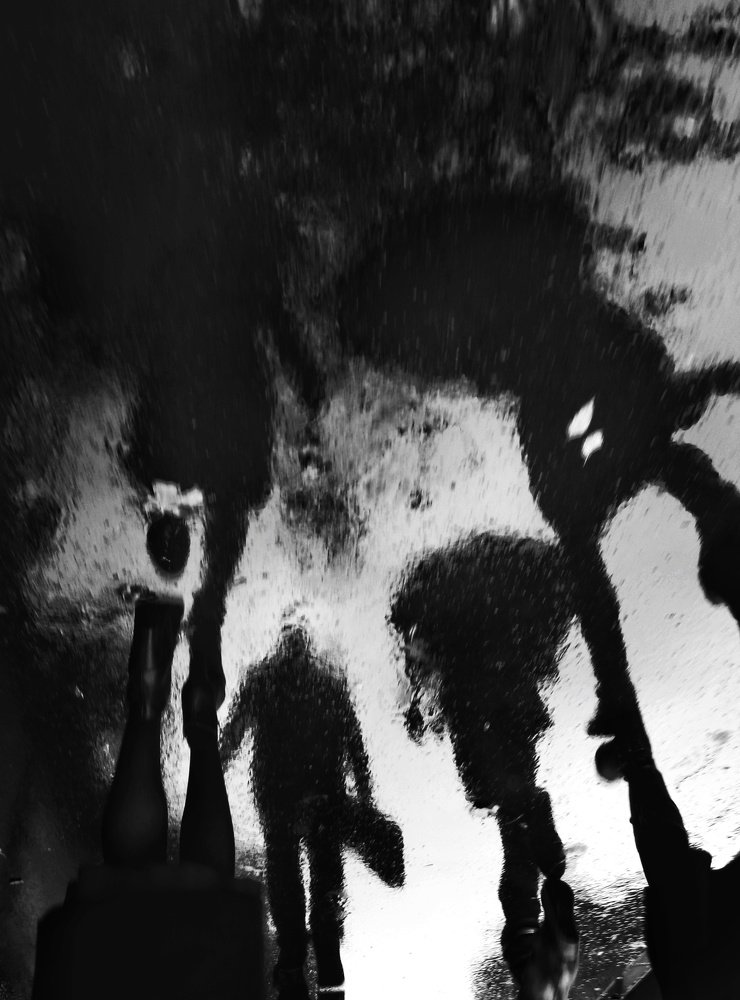 Photo #4298121