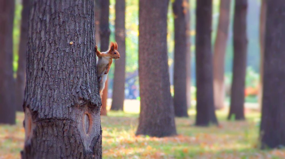 Photograph by Айбек Мамараимов