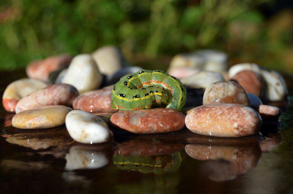 Прекрасное рядом....