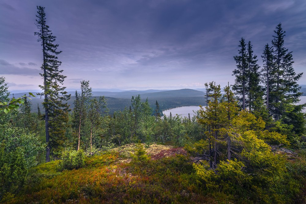 Фотография автора Светлана Морозова