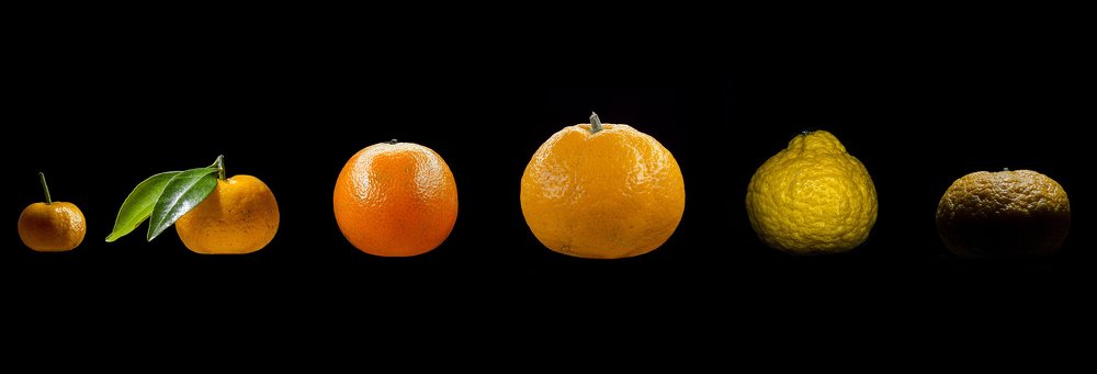 Photograph by Андрей Потапов