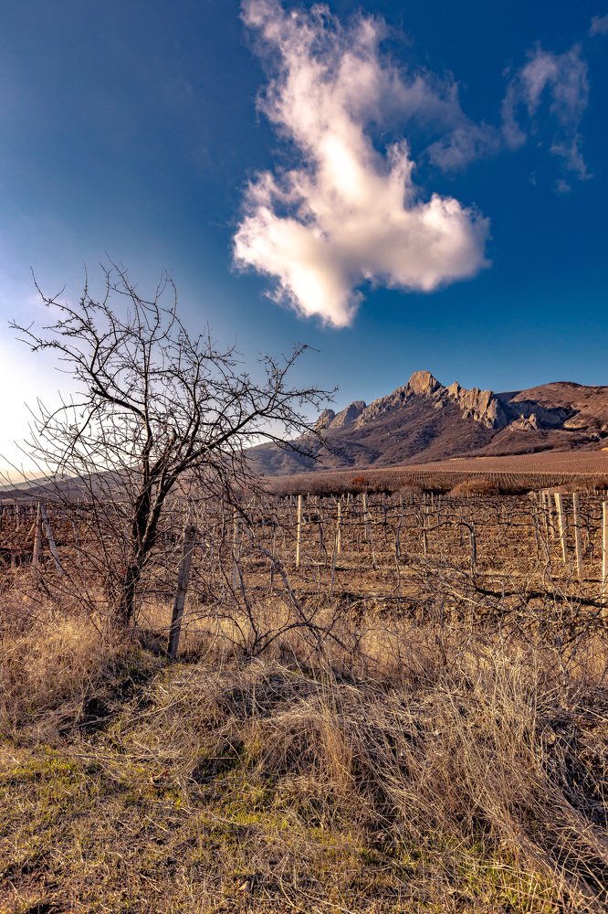 Photograph by Андрей Балдук