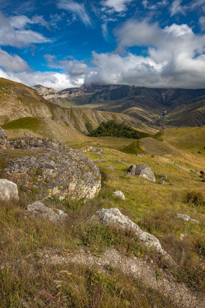 Photograph by Андрей Балдук