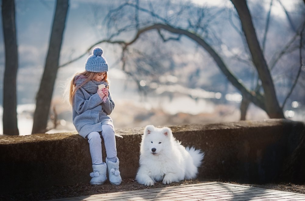 Фотография автора алексей брест