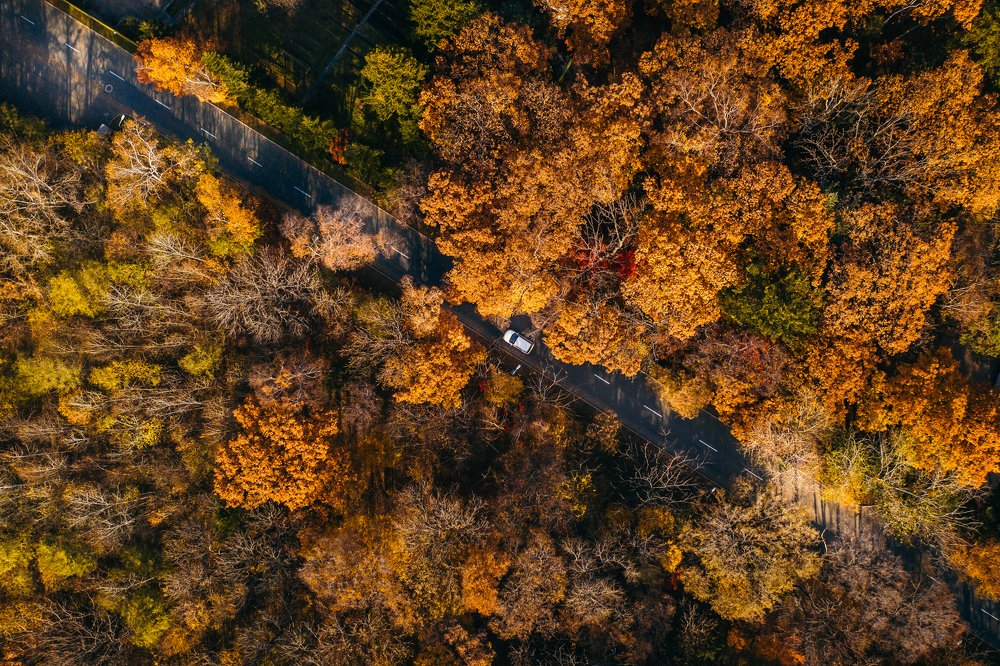 Photograph by Антон Блохин