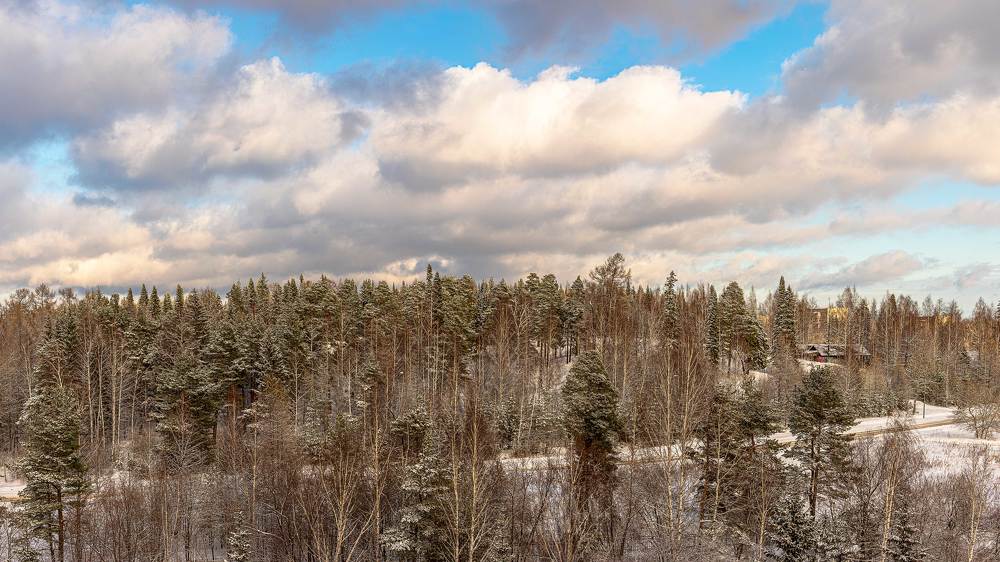 Гора Пихтовая, утро