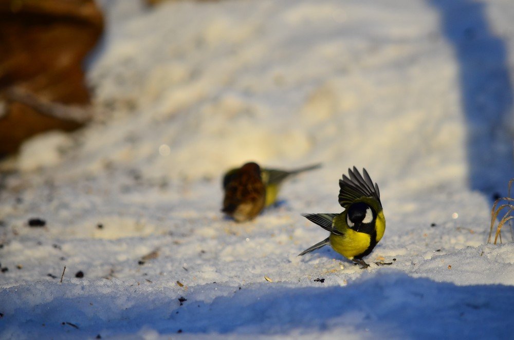 Photograph by Сергей Торхов