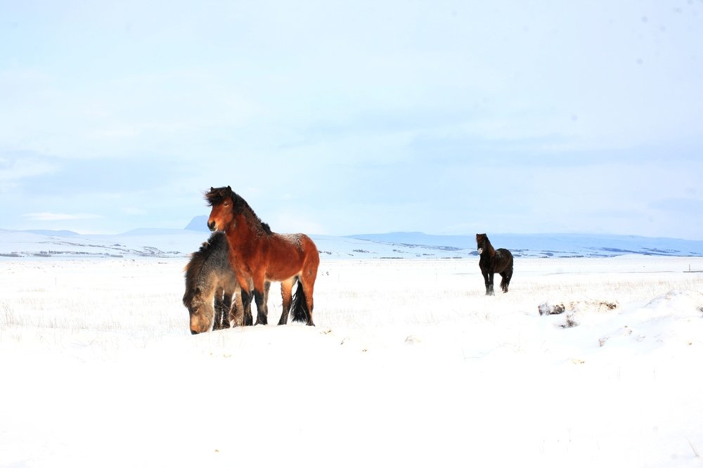 Photograph by Юлия Рыжман