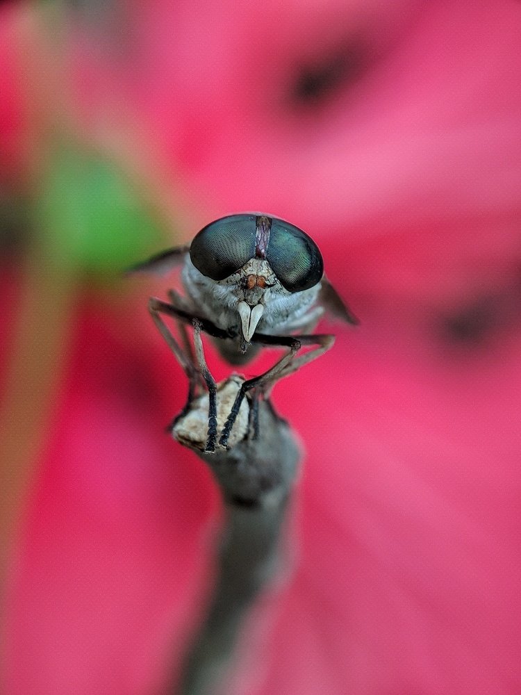 Photograph by Abhijit Roy