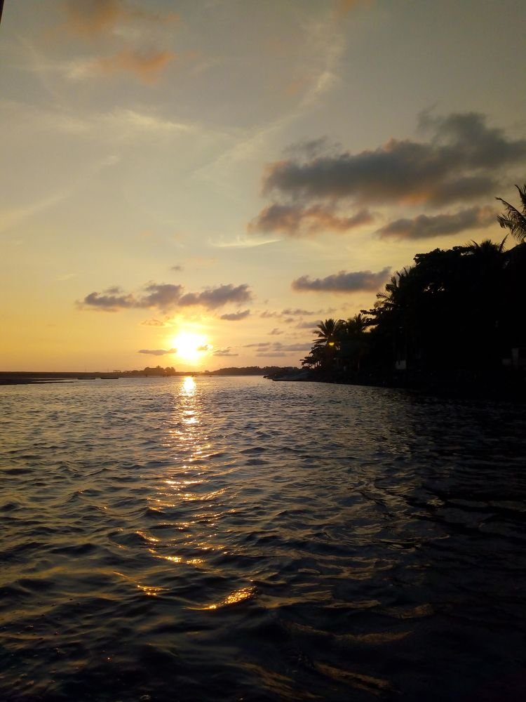 tardes de ensueño