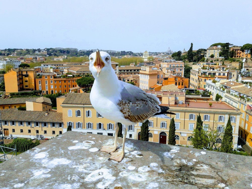 Photograph by Юлия Рыжман
