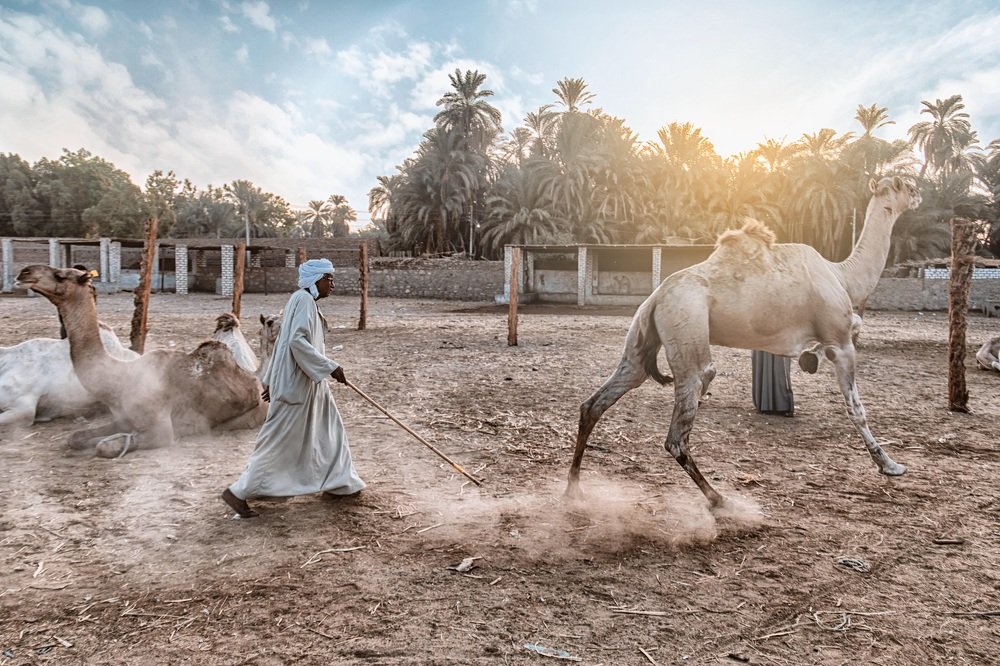 Photograph by Haytham