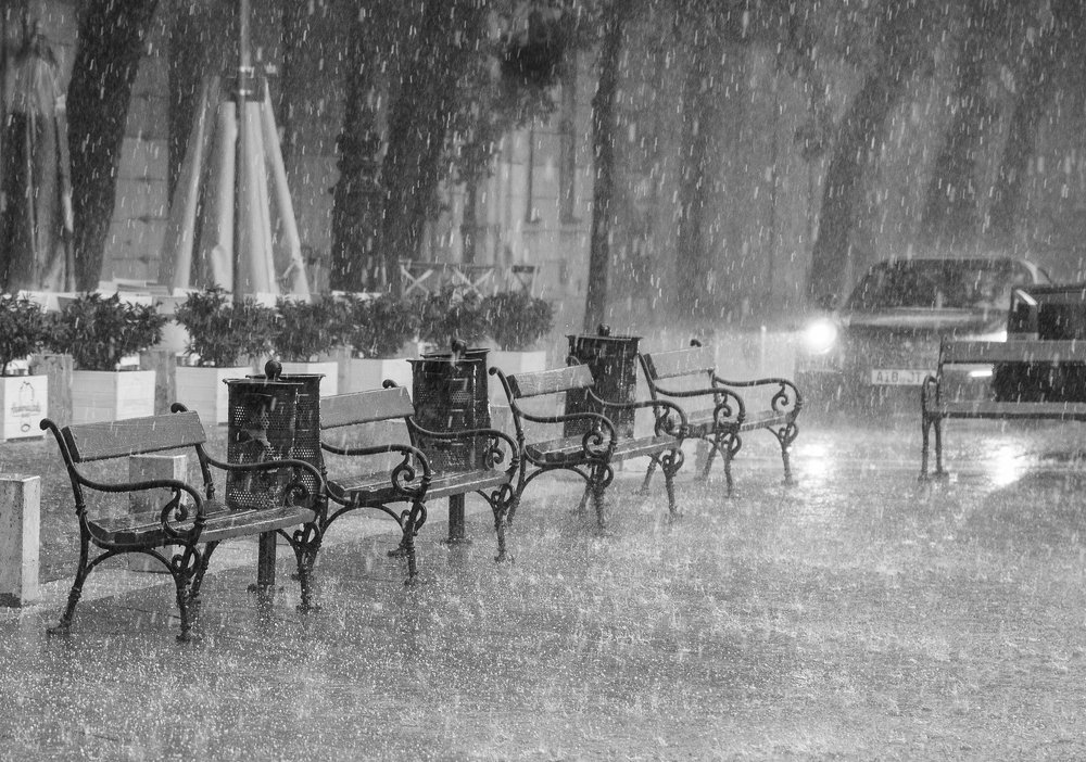 Photograph by Света и Вася