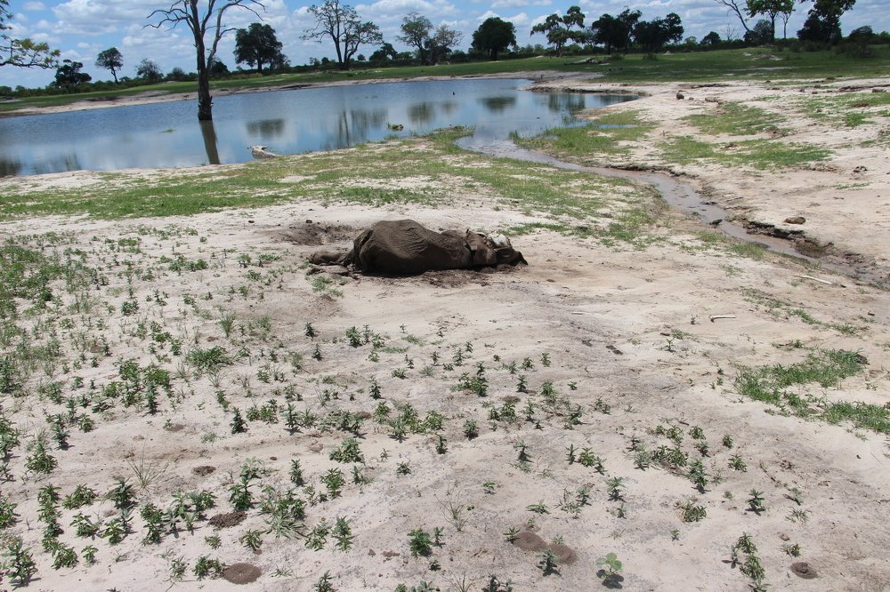 Hwange National Park