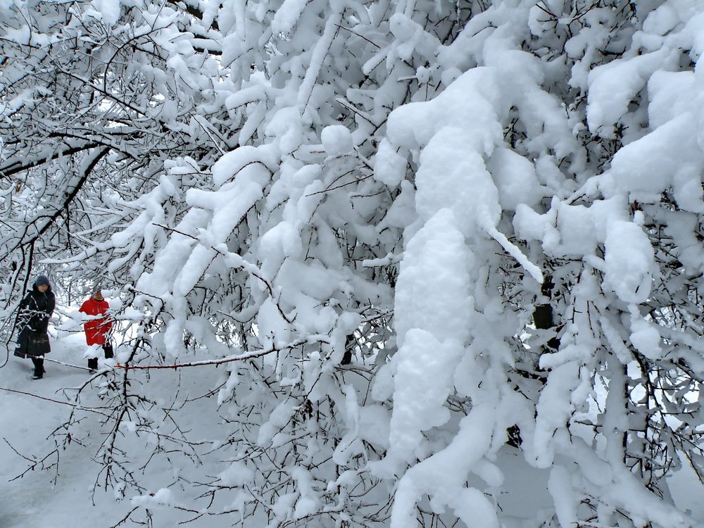 Photograph by Валерий