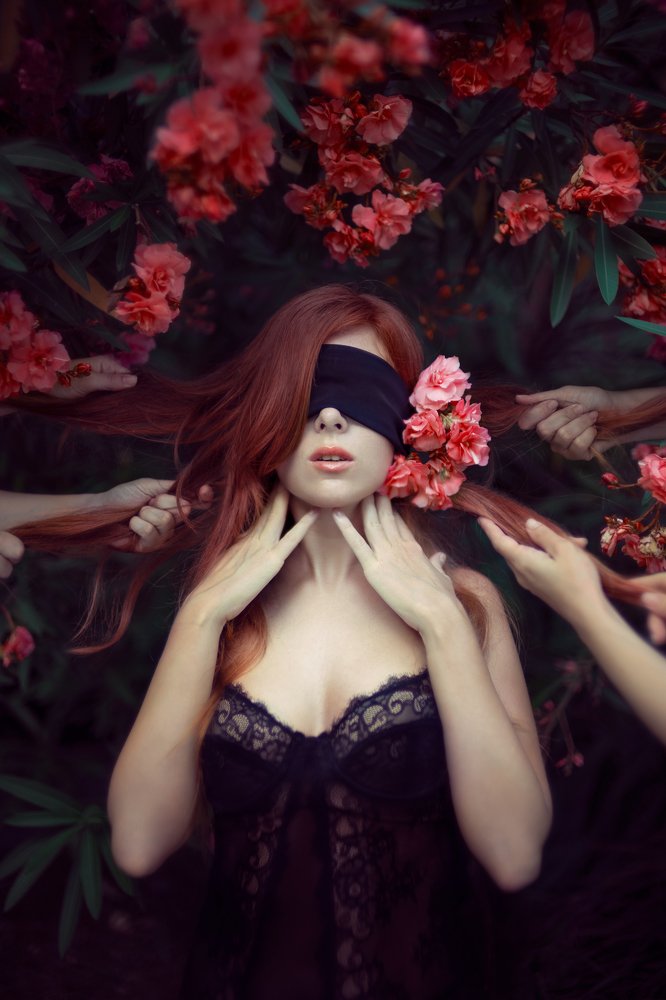 Фотография автора Надежда Хараз