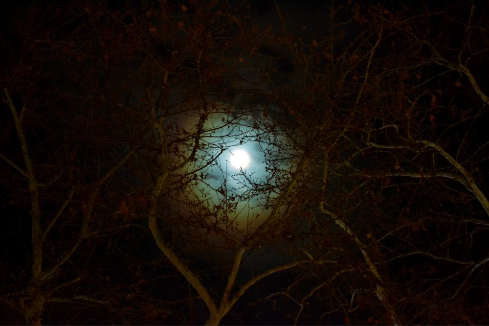 Photograph by Nopi Ranti