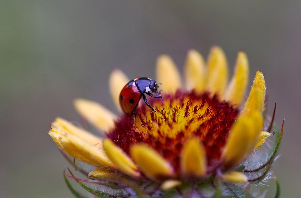 Photograph by Наталия Иванова