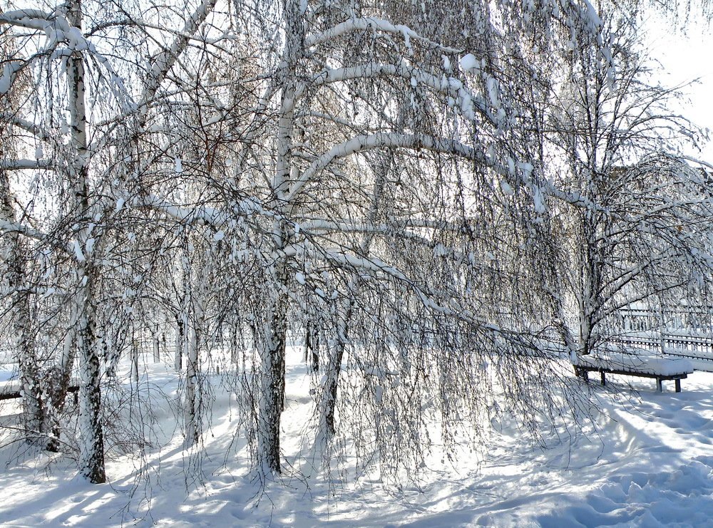 Photograph by Валерий