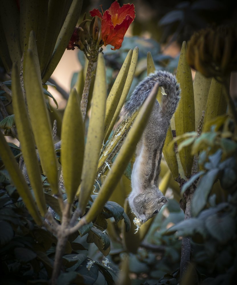 Hunger can make anyone go, Upside Down