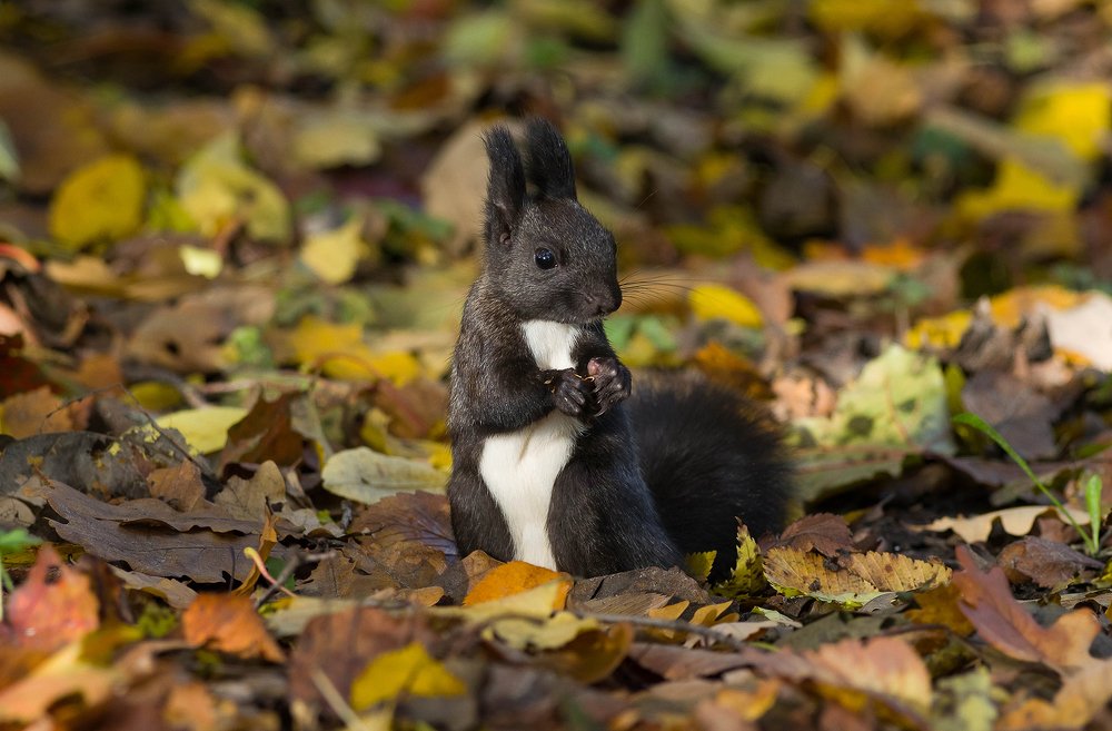 Photograph by Наталия Иванова
