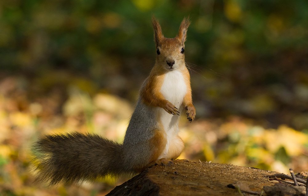 Photograph by Наталия Иванова